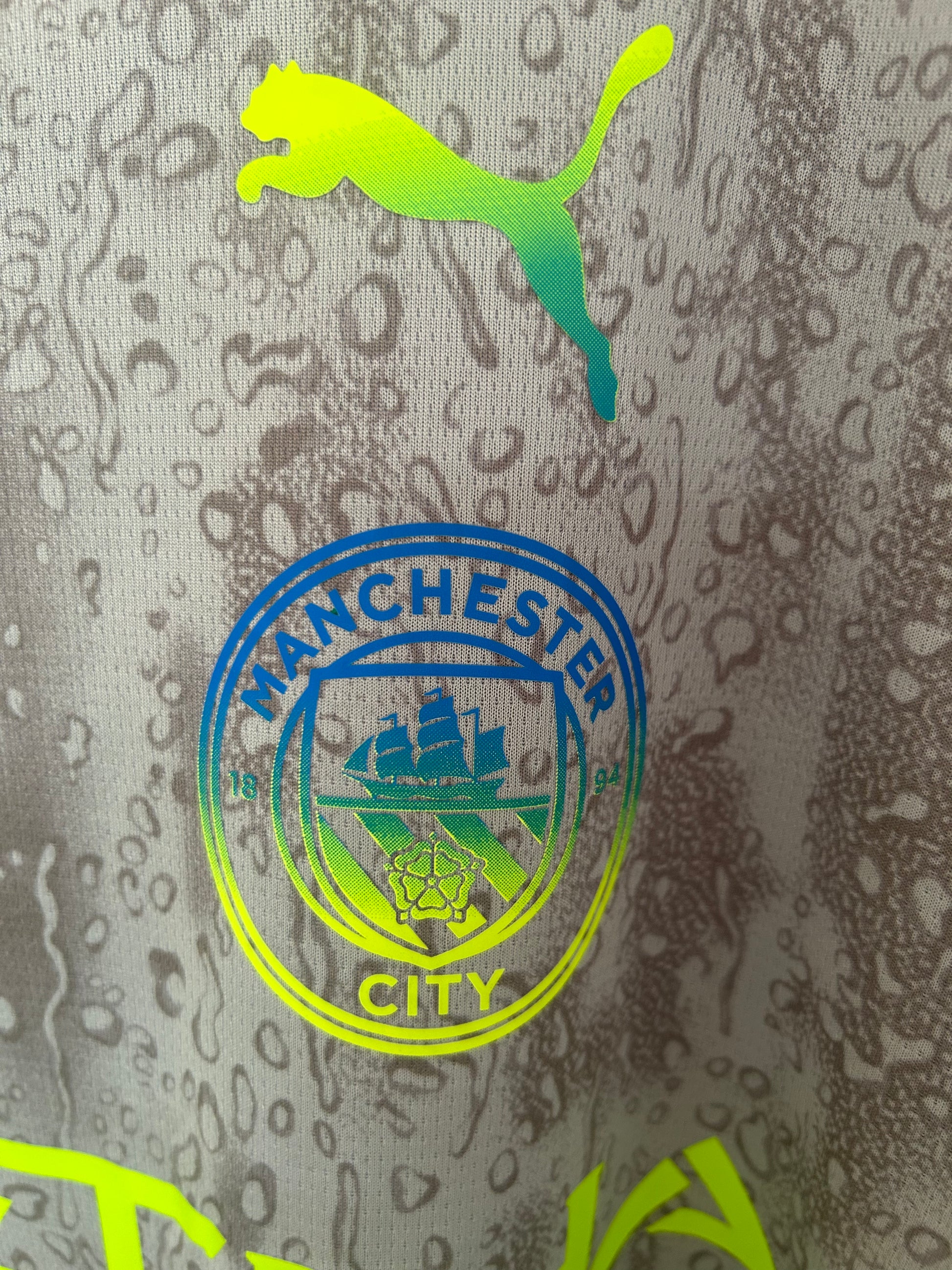2025/26 Manchester City Limited Edition Grey/Green Jersey [Fan]