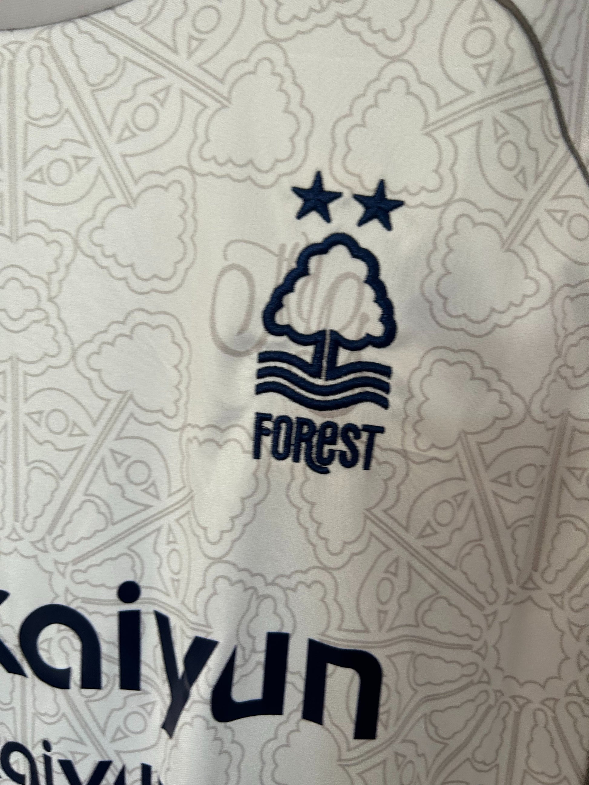 2025/26 Nottingham Forest Away Jersey [Fan]