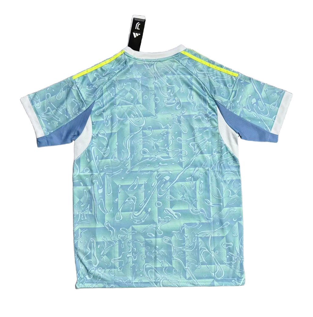 2025/26 Juventus Away Jersey [Fan]
