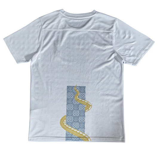 Tottenham 2025/26 Gold Snake Limited Edition Fan Version Jersey